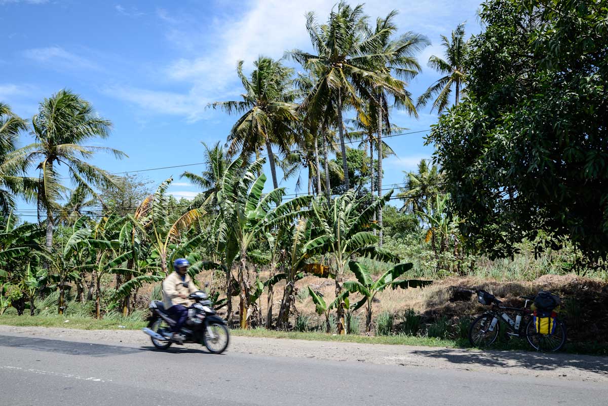 Sulawesi_Radreise_014