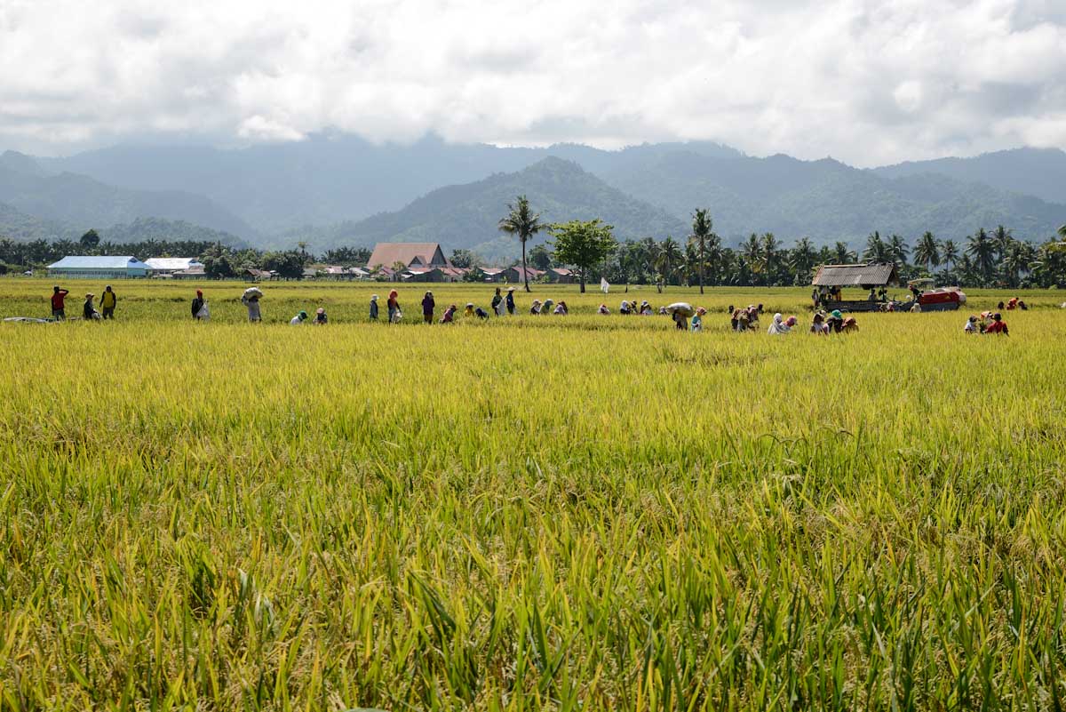 Sulawesi_Radreise_021