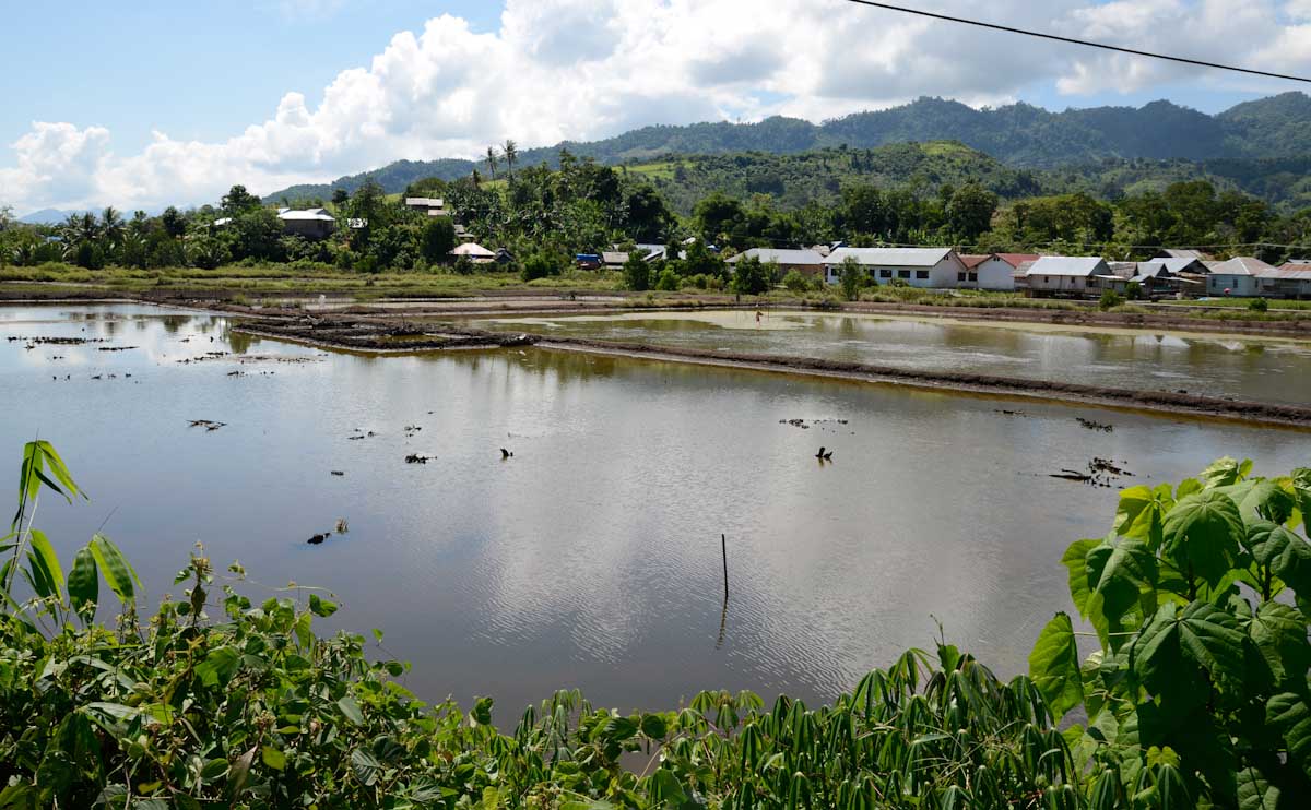 Sulawesi_Radreise_057