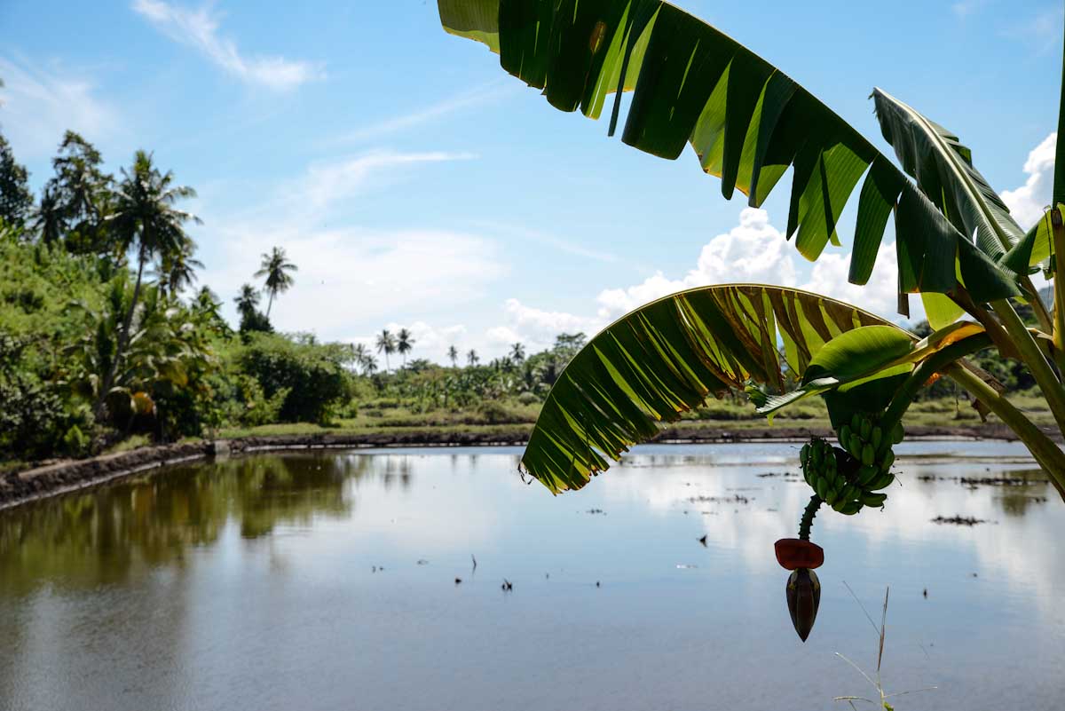 Sulawesi_Radreise_058