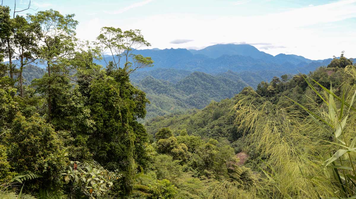 Sulawesi_Radreise_092