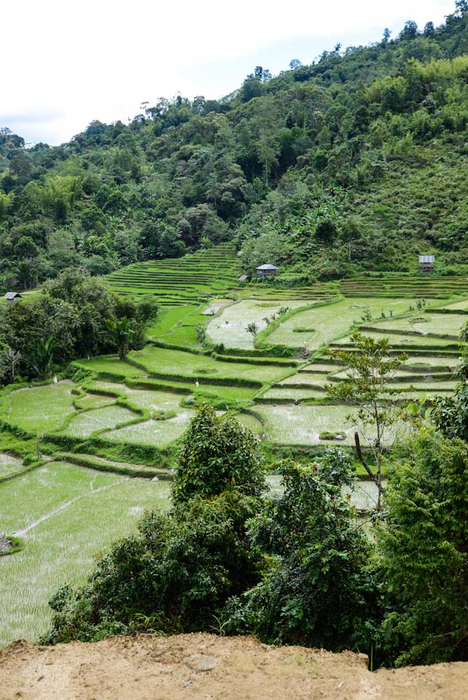 Sulawesi_Radreise_101