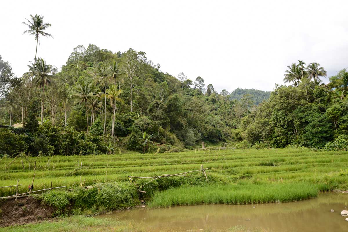 Sulawesi_Radreise_106