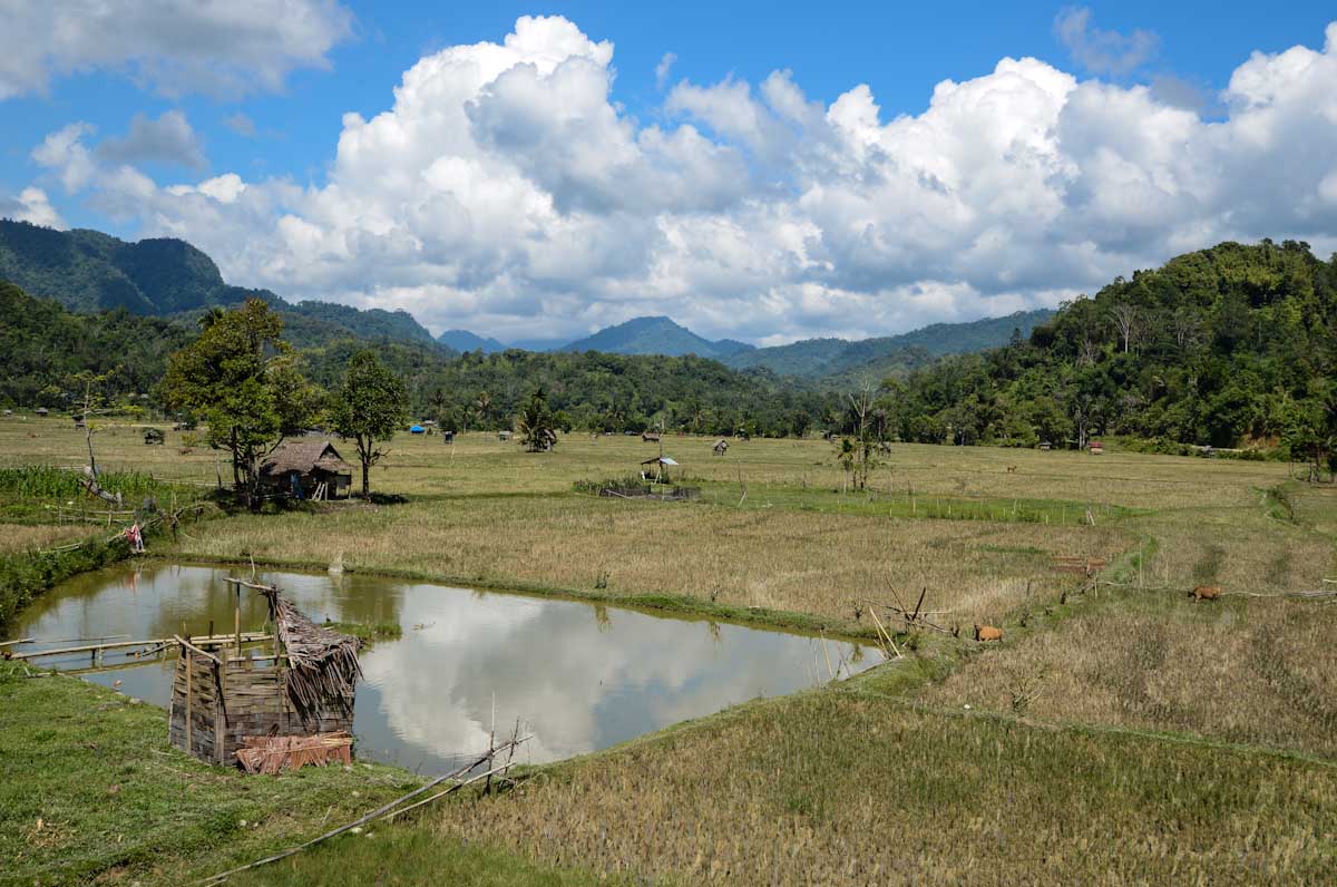 Sulawesi_Radreise_120