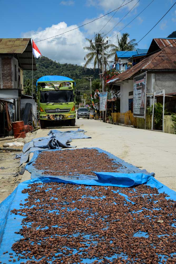 Sulawesi_Radreise_123