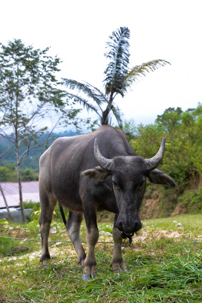 Sulawesi_Radreise_126