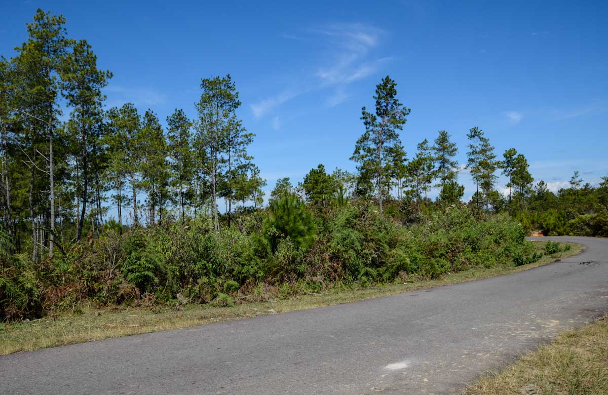 Sulawesi_Radreise_162