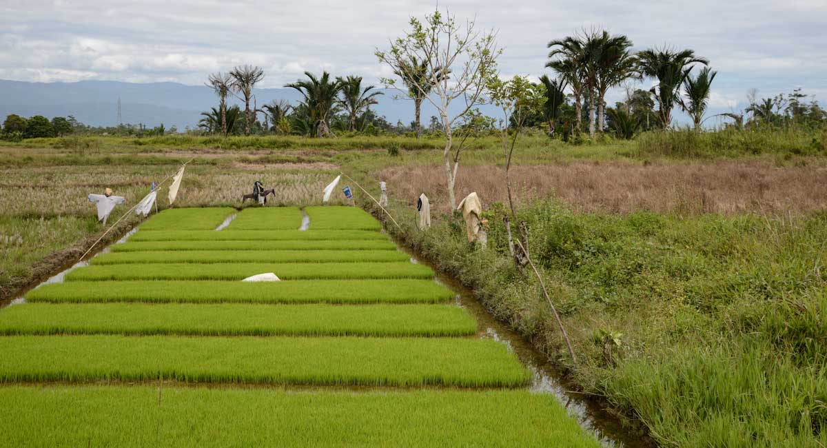 Sulawesi_Radreise_178