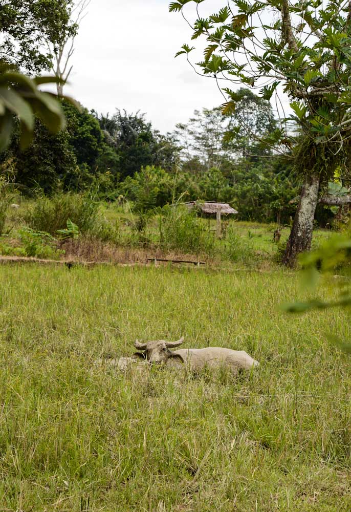 Sulawesi_Radreise_183