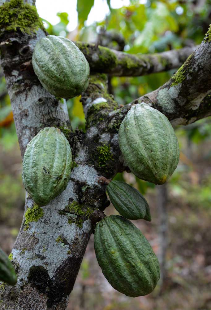 Sulawesi_Radreise_195