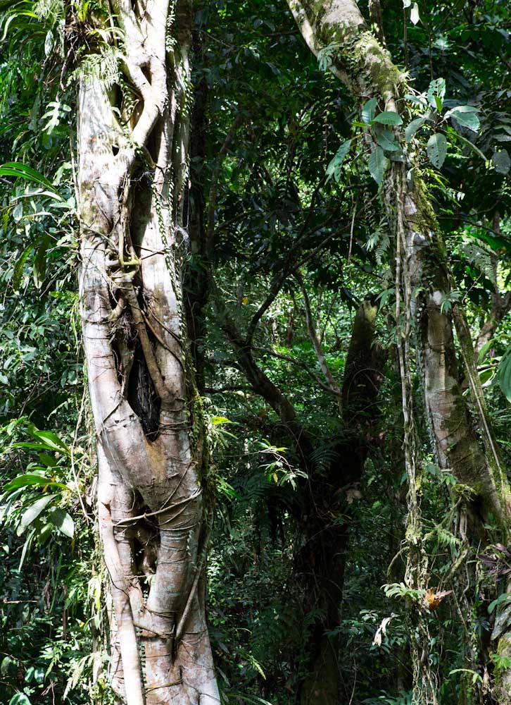Sulawesi_Radreise_198