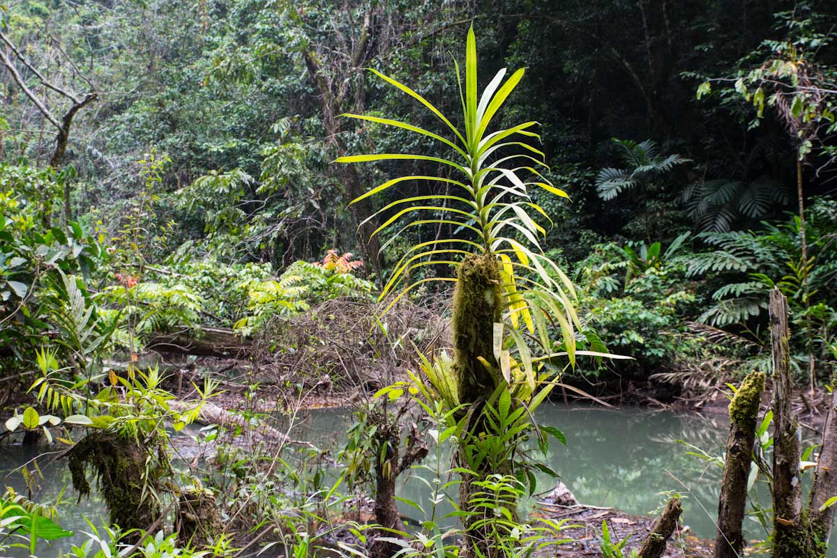 Sulawesi_Radreise_199