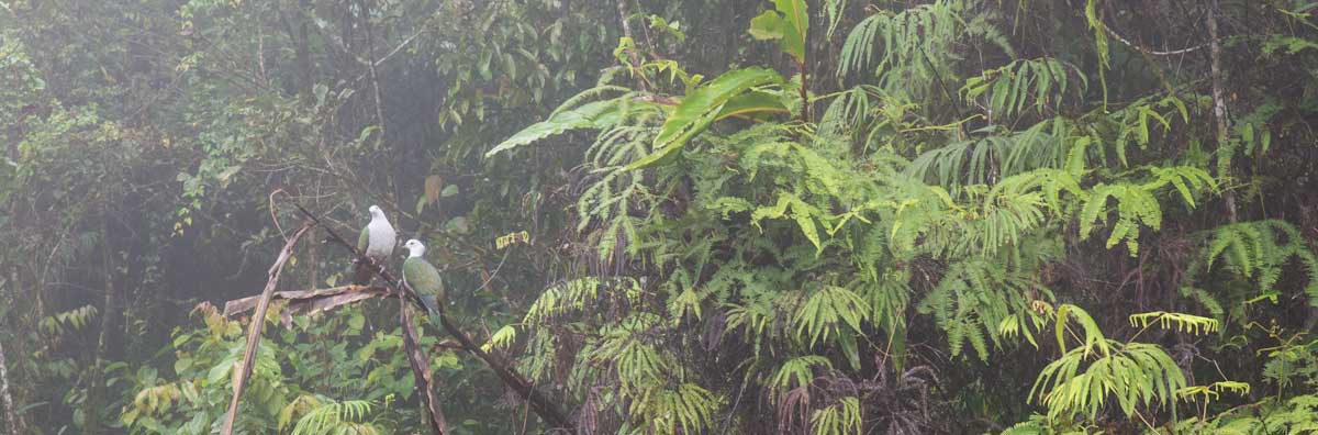 Sulawesi_Radreise_232