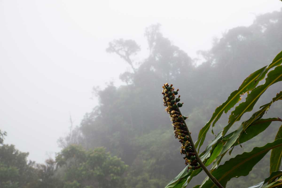 Sulawesi_Radreise_234