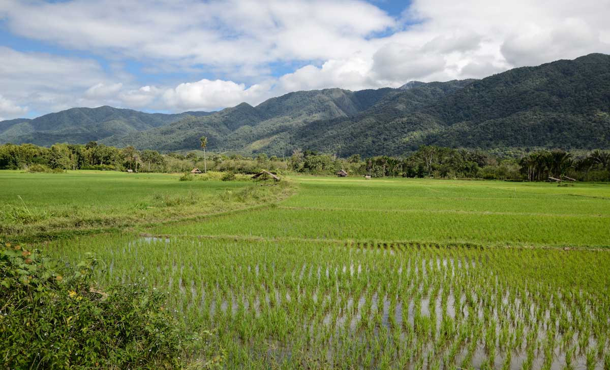 Sulawesi_Radreise_264