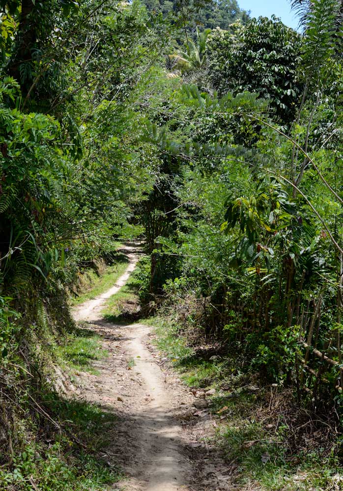 Sulawesi_Radreise_272