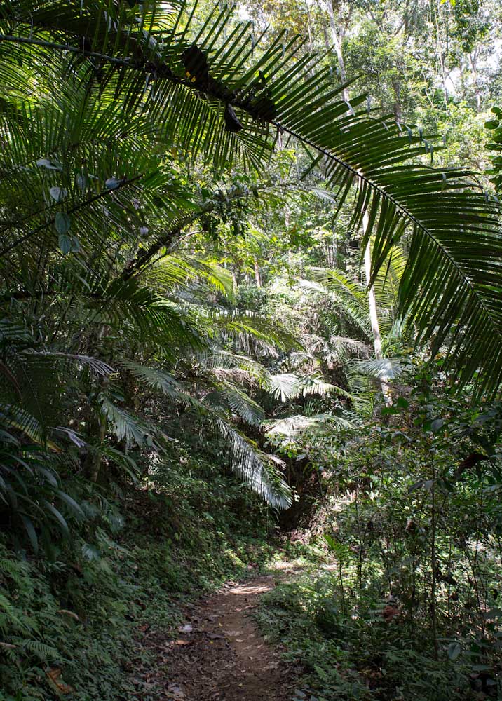 Sulawesi_Radreise_275