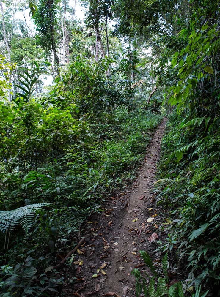 Sulawesi_Radreise_277