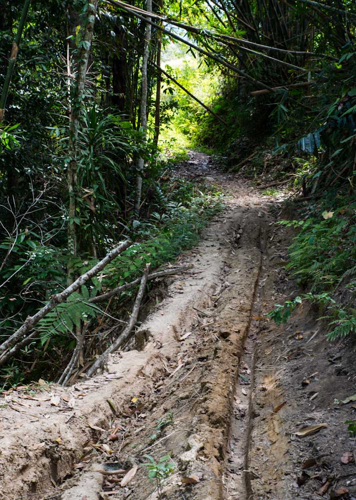 Sulawesi_Radreise_282