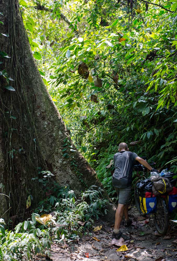 Sulawesi_Radreise_298