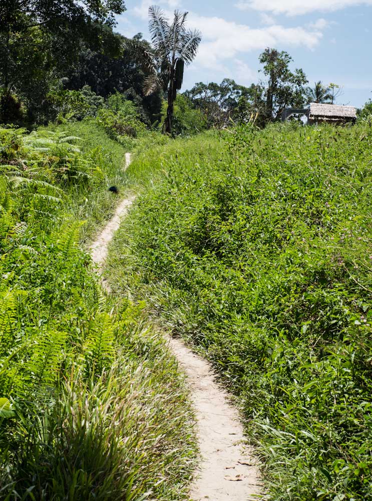 Sulawesi_Radreise_305
