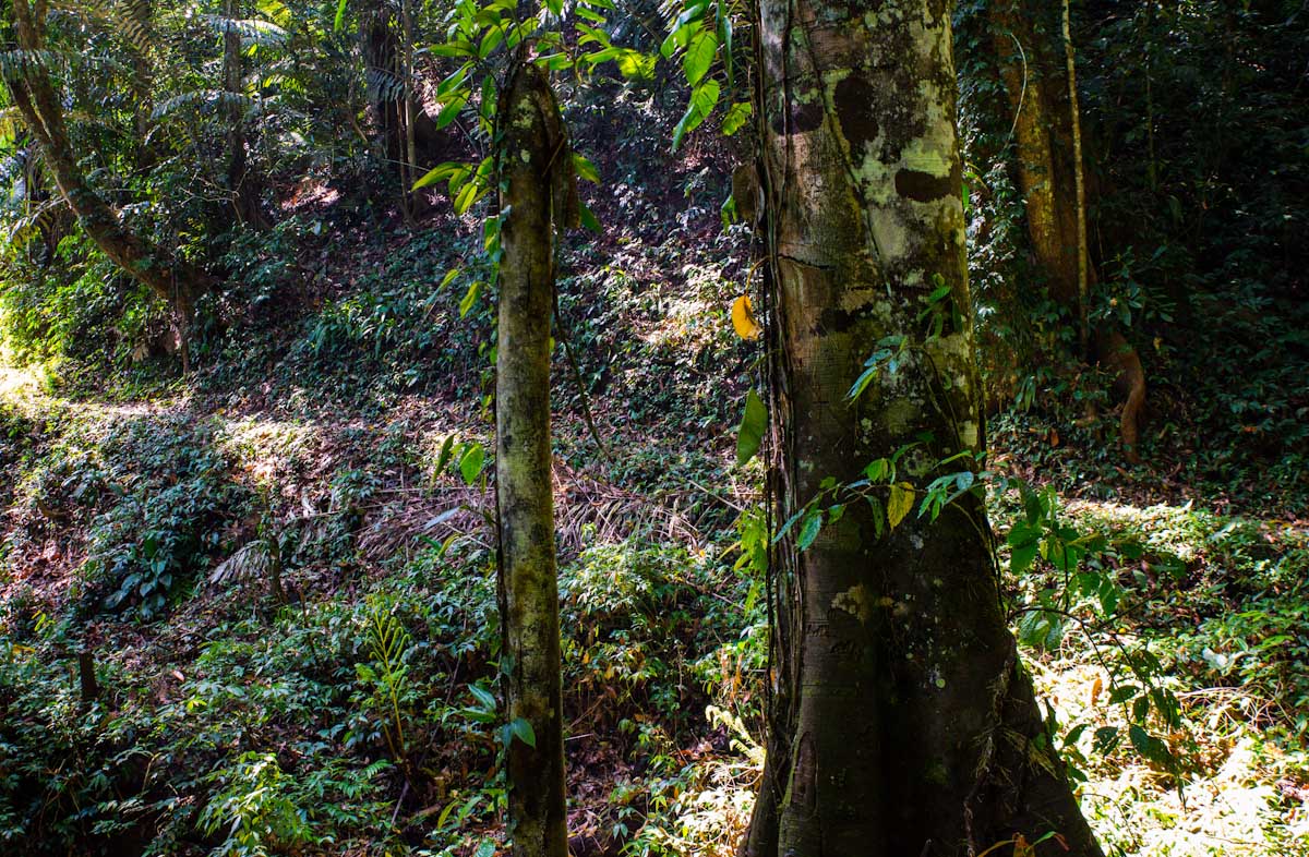 Sulawesi_Radreise_313