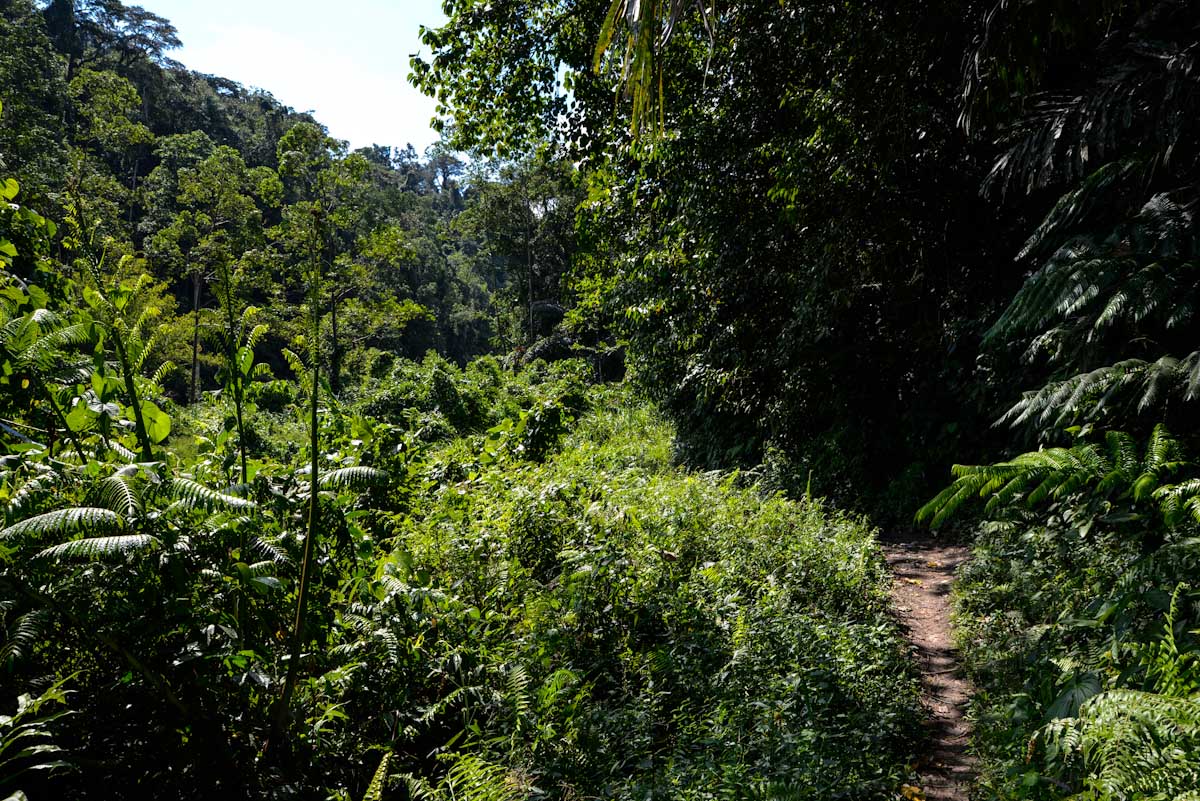 Sulawesi_Radreise_314