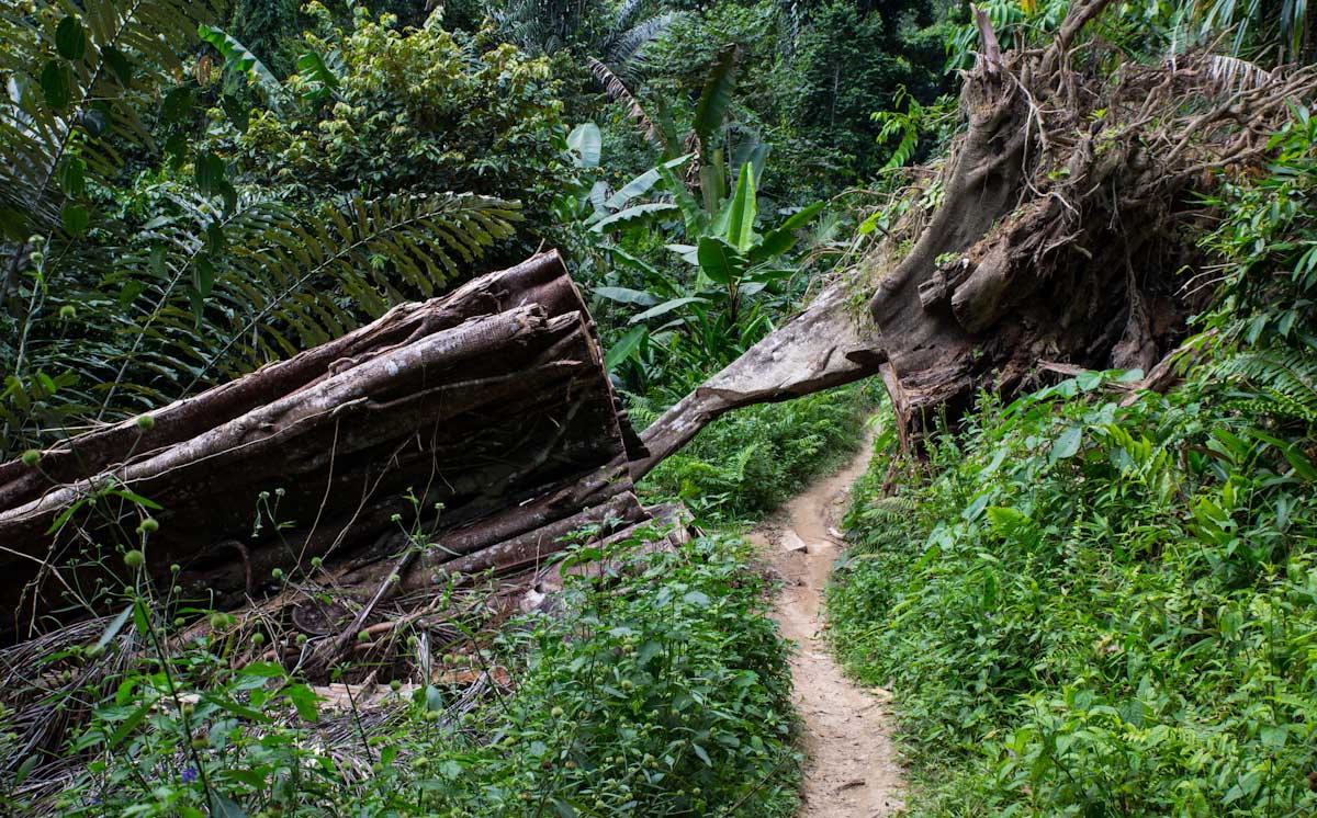 Sulawesi_Radreise_321