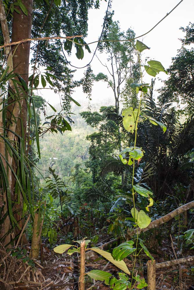 Sulawesi_Radreise_324