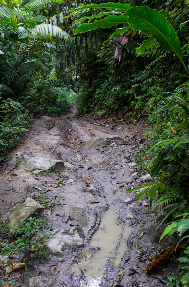 Sulawesi_Radreise_328