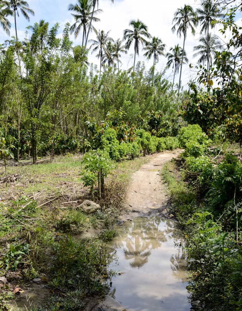 Sulawesi_Radreise_334