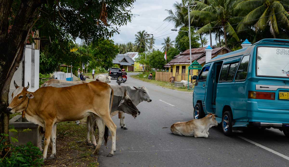 Sulawesi_Radreise_355